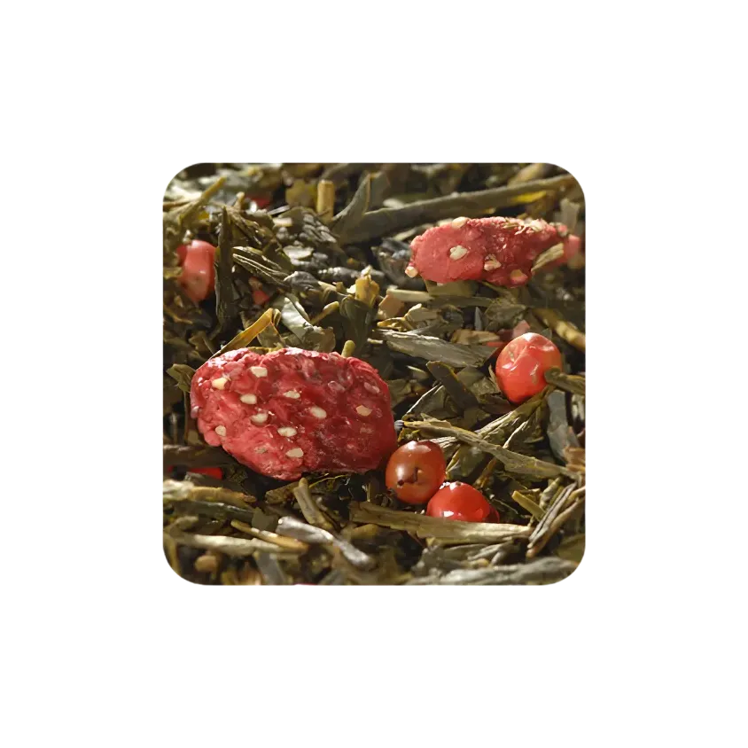 Thé vert Sencha Ginkgo Rhubarbe Fraise