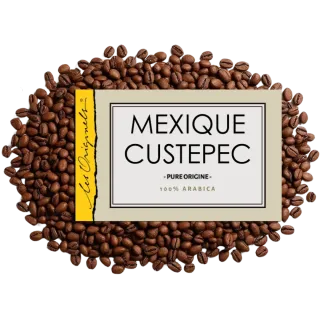 Mexique Custepec
