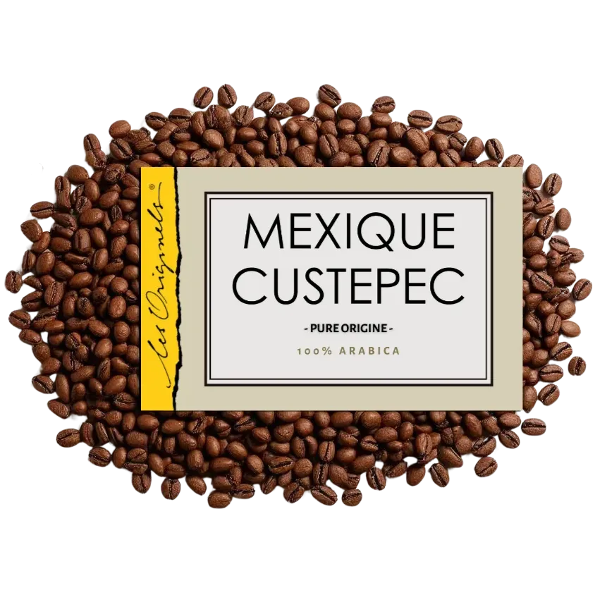 Mexique Custepec