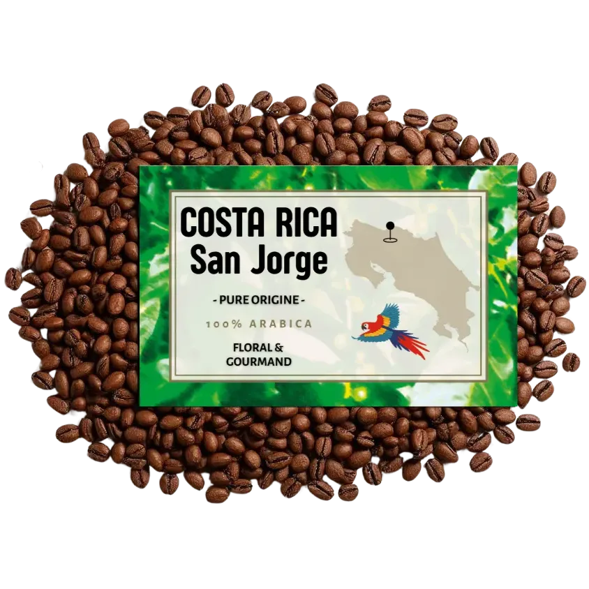 Café du COSTA RICA