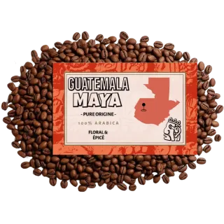 copy of Café du COSTA RICA