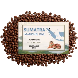 Sumatra Mandheling