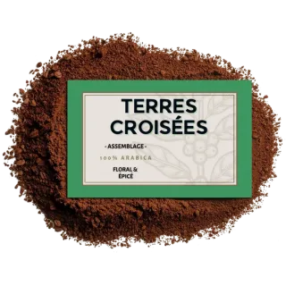 Café moulu Terres Croisées – Assemblage signature 100% Arabica | Cafés Henri