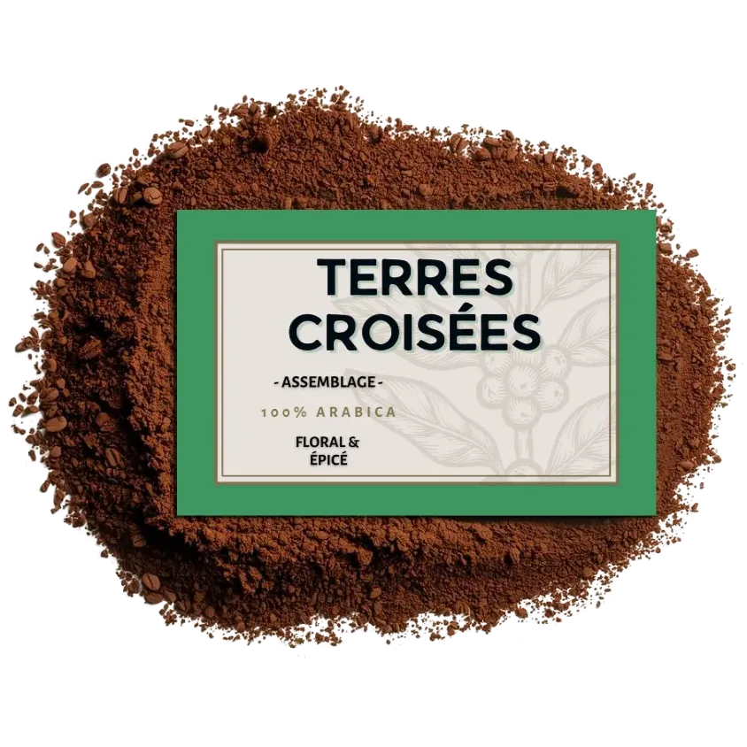 Café moulu Terres Croisées – Assemblage signature 100% Arabica | Cafés Henri