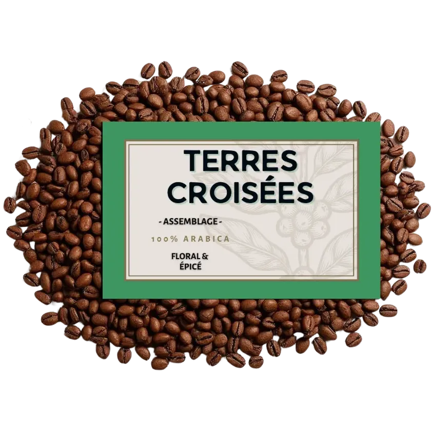 Café en grains Terres Croisées – Assemblage signature 100% Arabica | Cafés Henri