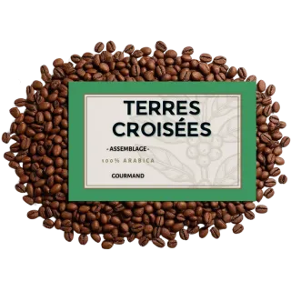 Café en grains Terres Croisées – Assemblage signature 100% Arabica | Cafés Henri