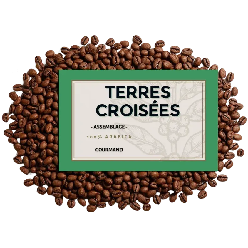 Café en grains Terres Croisées – Assemblage signature 100% Arabica | Cafés Henri