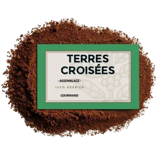 Café moulu Terres Croisées – Assemblage signature 100% Arabica | Cafés Henri