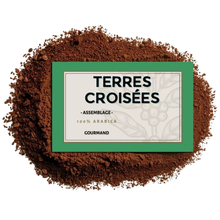 Café moulu Terres Croisées – Assemblage signature 100% Arabica | Cafés Henri