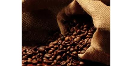 Machine à café professionnelle, café pro & en gros