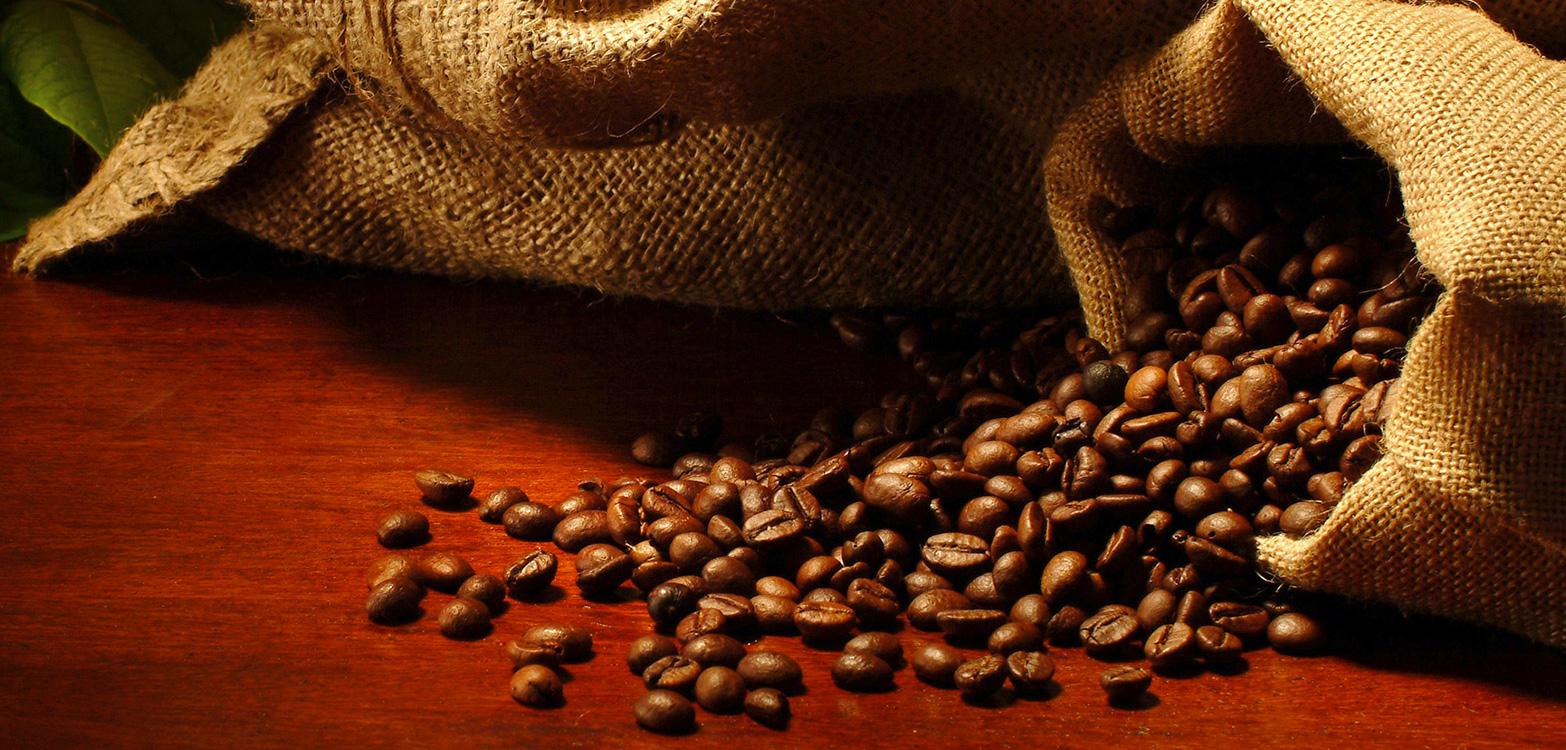 Café en grains solidaire, torréfaction artisanale